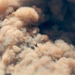 Un avión de bomberos vuela lejos de un penacho de cenizas de pirocúmulos después de hacer una caída retardante en una cresta mientras los bomberos continúan luchando contra el incendio de Apple cerca de Banning, California. | Foto:JOSH EDELSON / AFP