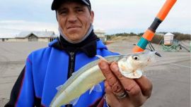 De mar y en Sauce Grande, Monte Hermoso volvió a la pesca con muy buenos pejerreyes.