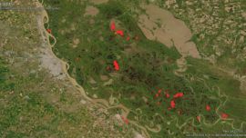 La imagen satelital muestra cómo están presentes los focos de incendio en el delta del río Paraná.