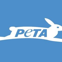 PETA es la organización de derechos de los animales más grande del mundo. 