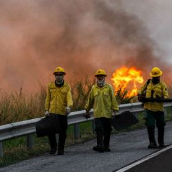 Los bomberos están trabajando conjuntamente con el Ejército de Brasil en la extinción del voraz incendio.