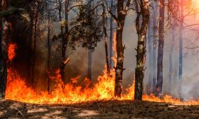 cambio climático 20200806