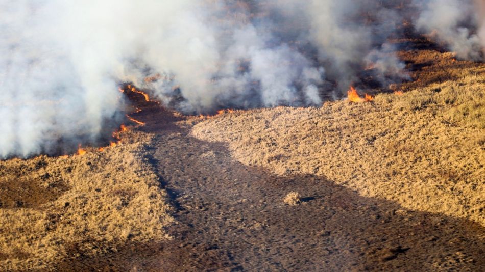 Incendios en la Costa del Paraná