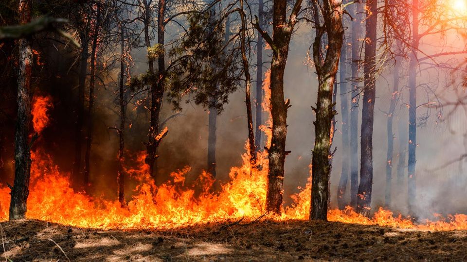 Desastres naturales cambio climático