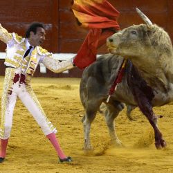 El matador español Enrique Ponce apuñala la espada para matar a un toro durante una corrida de toros en la plaza de toros de El Puerto de Santa María. | Foto:CRISTINA QUICLER / AFP