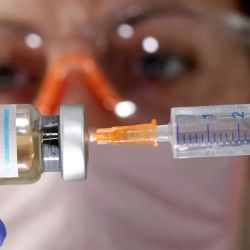 Las vacunas contra el Covid podría llegar hacia fines del 2020.  | Foto:CEDOC