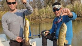 Las primeras tarariras ya picaron en el río Uruguay.