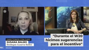 Susana Balbo sobre la ley de equidad