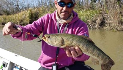 Aun con frío, las primeras tarariras ya picaron en el río Uruguay.