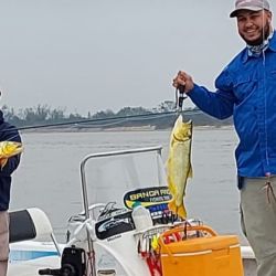 El río Paraná santafecino está con buenos dorados para tentarlos con mosca.