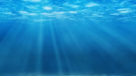 Las actividades humanas están disolviendo el registro geológico en el fondo del océano, debido a los crecientes niveles de CO2 y la acidificación del agua del mar, advierte un nueva investigación