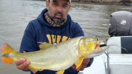 El río Paraná santafecino está con buenos dorados para tentarlos con mosca.