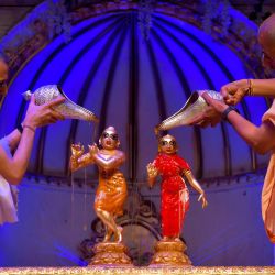 Sacerdotes hindúes bañan a los ídolos de los dioses hindúes Krishna (izquierda) y su consorte Radha en miel durante el 'Abhisheka', ritual de unción sagrada, que se lleva a cabo como parte de las celebraciones de Krishna Janmashtami en el templo de la Sociedad Internacional de Conciencia de Krishna en Bangalore. | Foto:Manjunath Kiran / AFP