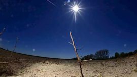 La deforestación global provocada por el factor humano amenaza seriamente con provocar un colapso irreversible de la civilización humana.