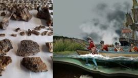 0811_restosarmadillo