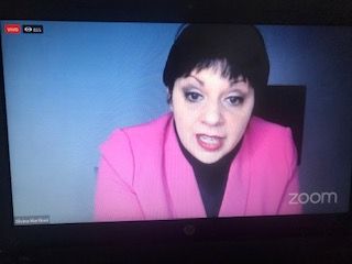 Zoom Silvina Martinez y el PRO