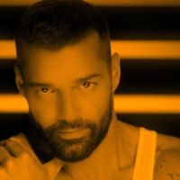 ¡No para! Ricky Martin reveló cuantos hijos más le gustaría tener