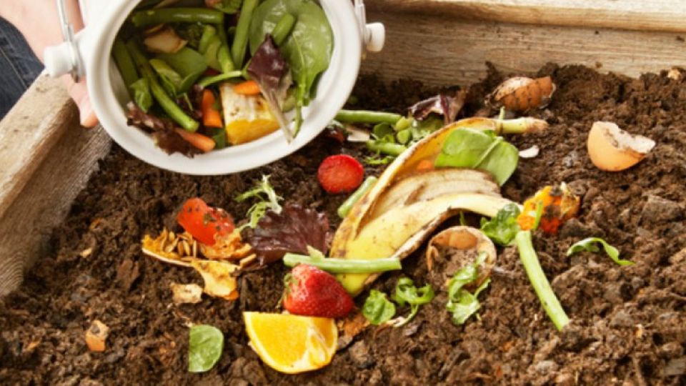 Compost
