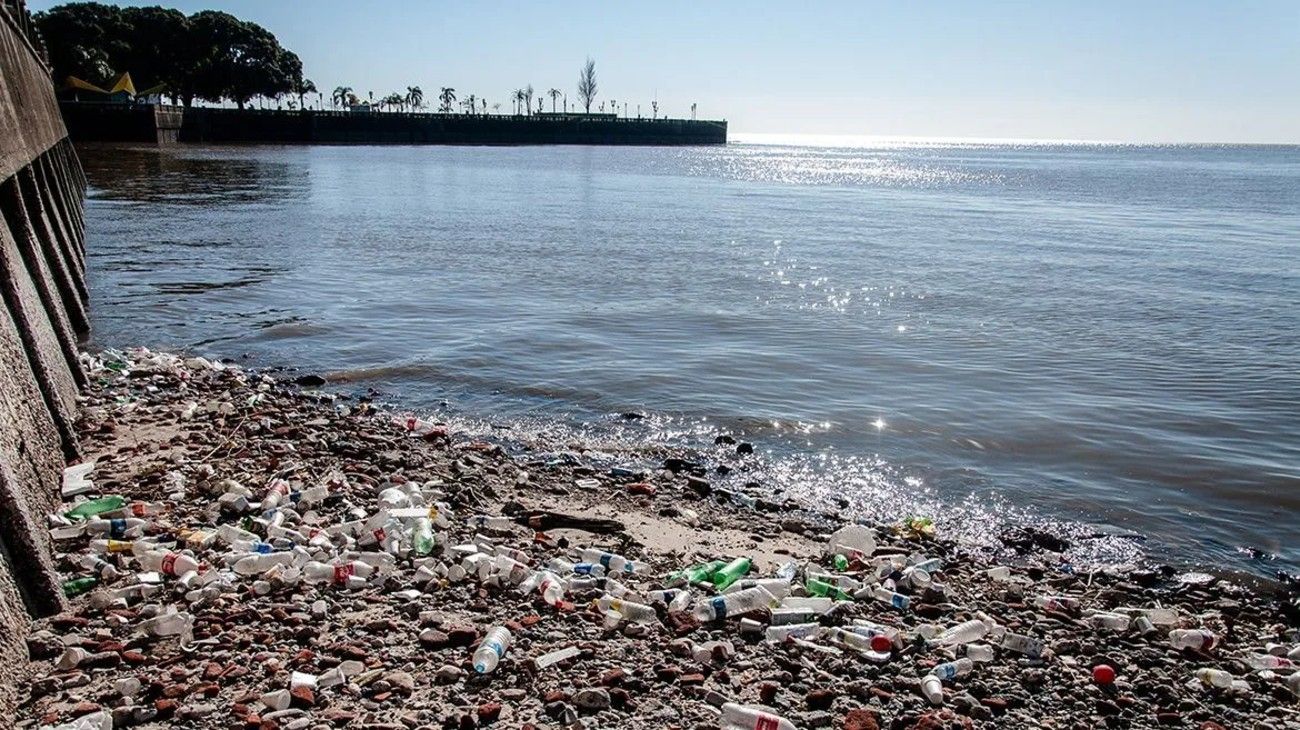 Weekend | Río de La Plata: ¿cuáles son los partidos costeros con agua más  contaminada?