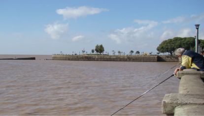 ¿Vuelve la pesca este fin de semana a la Costanera porteña?