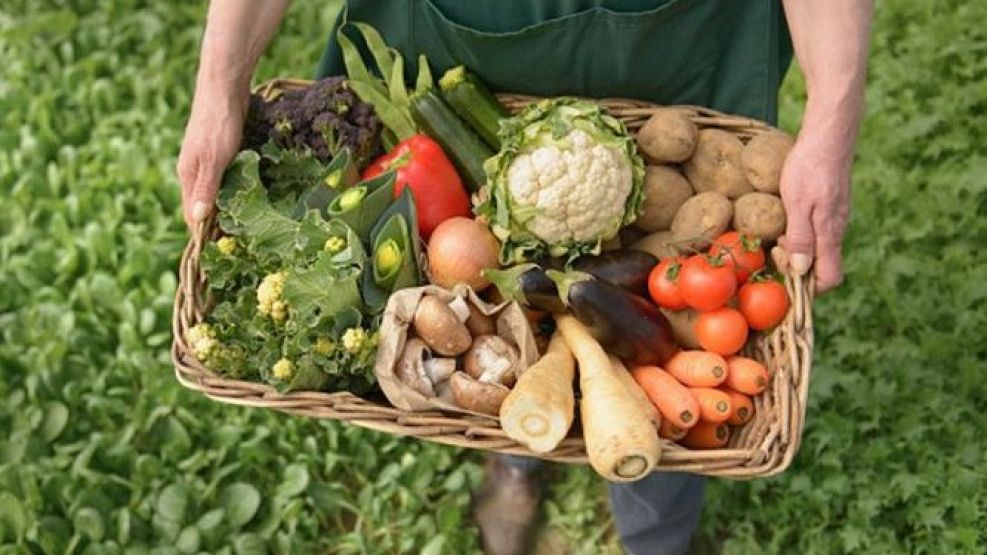 Soberanía alimentaria