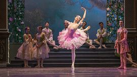 La bella durmiente del bosque