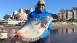 Lenguado de 10,700 kg capturado en Mar del Plata durante el fin de semana largo del 17 de agosto de 2020.