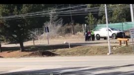 Cuarentena: violenta detención de una mujer en Bariloche por pasear a a su perro