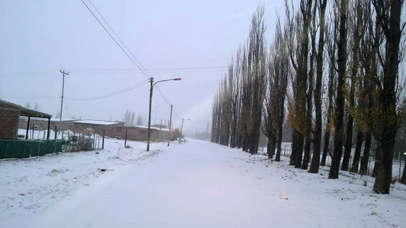 Copiosa nevada en Mendoza.