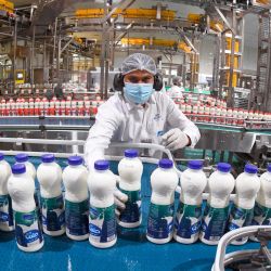 Una imagen muestra la línea de producción de leche en la fábrica de Rawabi de los EAU en Dubai. | Foto:Karim Sahib / AFP