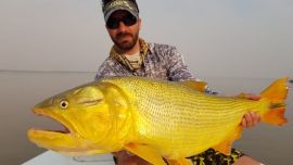 Esquina está con grandes dorados. Pescamos ejemplares de 8 kilos.