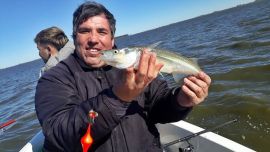 Pejerreyes de la laguna Los Pampas