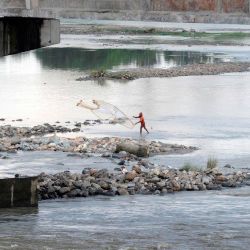 Un pescador captura peces en el canal Teesta en Fulbari en las afueras de Siliguri. | Foto:DIPTENDU DUTTA / AFP