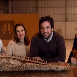 Nuevos representantes