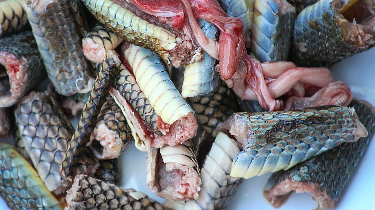 Mercado de carnes silvestres de Lagos, en Nigeria