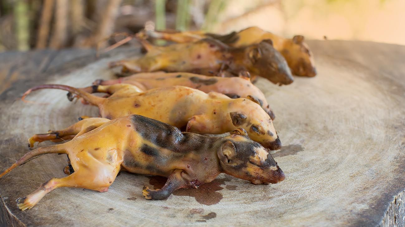 Mercado de carnes silvestres de Lagos, en Nigeria