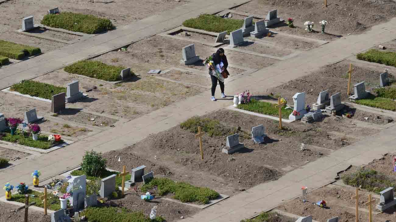 reapertura cementerio de flores