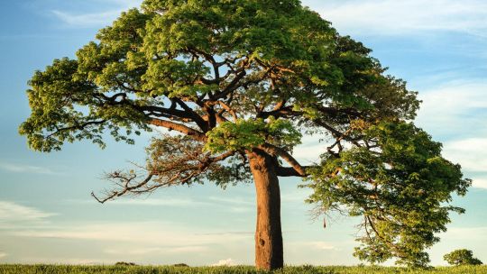 Bio Week: elegimos sus 7 charlas más imperdibles
