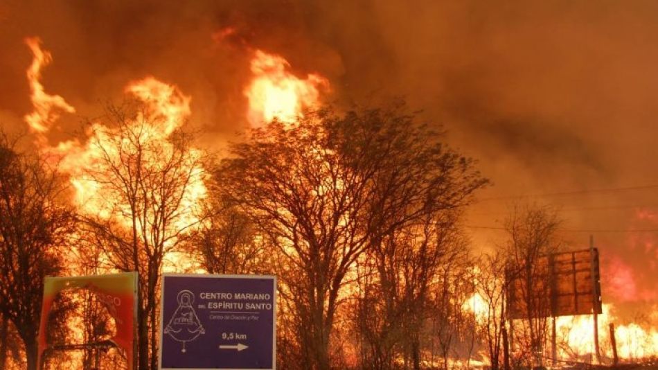 Denuncian que los incendios en el país son por falta de protección de áreas naturales | Perfil