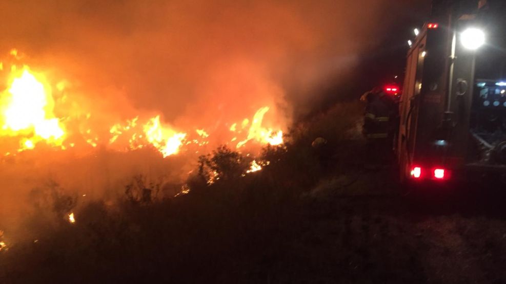 Incendio en el Delta en San Fernando habrían sido intencionales