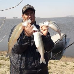 Tres lagunas con buenos pejerreyes: Iguartúa, La Loma y Los Claveles.