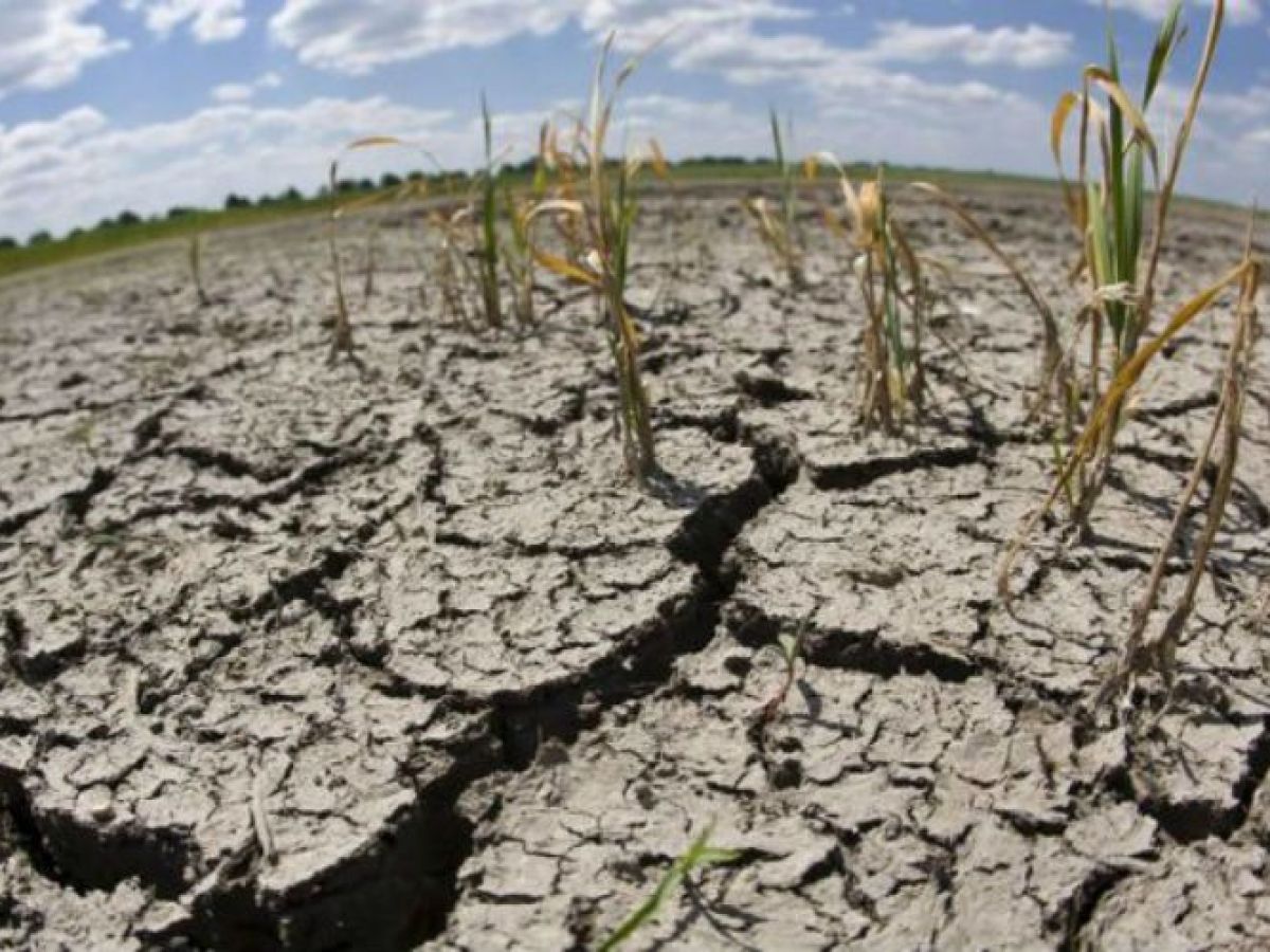 El agro argentino en alerta por la falta de agua | Radio Perfil