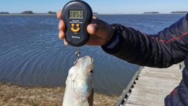 Tres lagunas con buenos pejerreyes: Iguartúa, La Loma y Los Claveles.