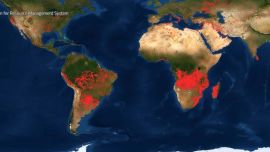 El Fire Information for Resource Management System de la NASA es un sistema que permite seguir en tiempo real todos los incendios que se registran en el mundo.
