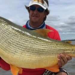 A través de grandes trofeos revivimos capturas de dorados, surubíes, patíes y pacúes en los ríos Paraná y Uruguay