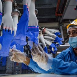 Un trabajador inspecciona guantes desechables en la fábrica Top Glove en Shah Alam en las afueras de Kuala Lumpur. - Top Glove, una empresa con sede en Malasia es uno de los mayores fabricantes de guantes de goma del mundo. | Foto:Mohd Rasfan / AFP