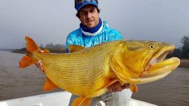 A través de grandes trofeos revivimos capturas de dorados, surubíes, patíes y pacúes en los ríos Paraná y Uruguay