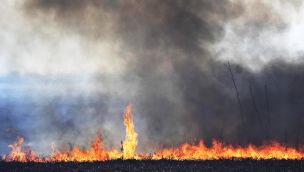  incendios en el delta. 20200826