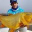 2608_DORADOS_PARANA_URUGUAY