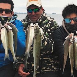 Pejerreyes de 700 g y otros de más de 30 cm pueblan todos los sectores de Villa Cañás. Cantidad y calidad para ambas lagunas.